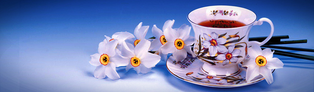 teacup-flowers-web-header